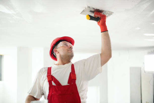 Best Wallpaper Removal and Painting  in Anderson Creek, NC